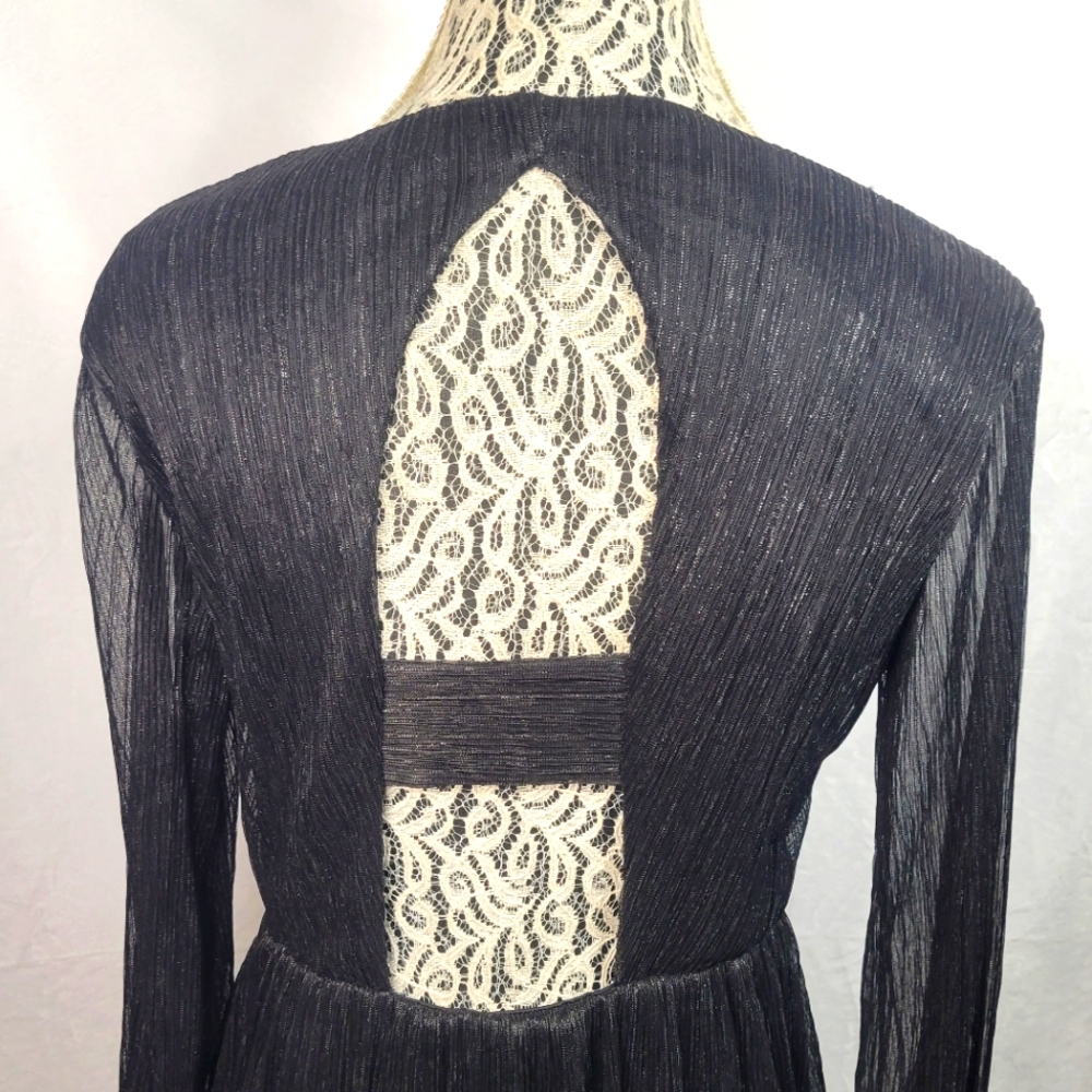 Gorgeous Sheer Black Shimmery Long Sleeve NYE Dress